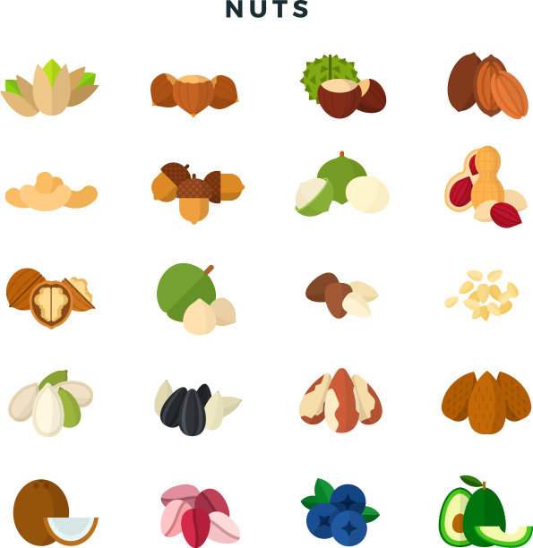 各种坚果集各种坚果谷粒和图片下载