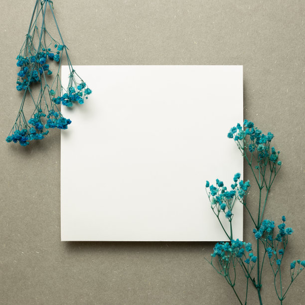 便笺本，空纸，灰色背景上有蓝色的天竺葵干花。俯视图，复制空间图片下载