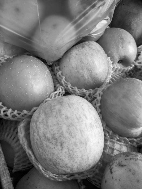 苹果果实BW图片下载