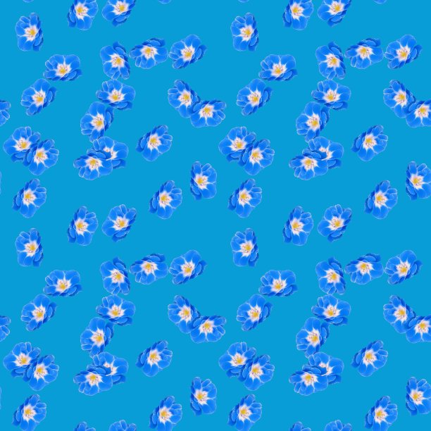 玫瑰花朵。插图，花的纹理。用于连续复制的无缝模式。花卉背景，照片拼贴为纺织品，棉布面料。用于墙纸，封面图片下载