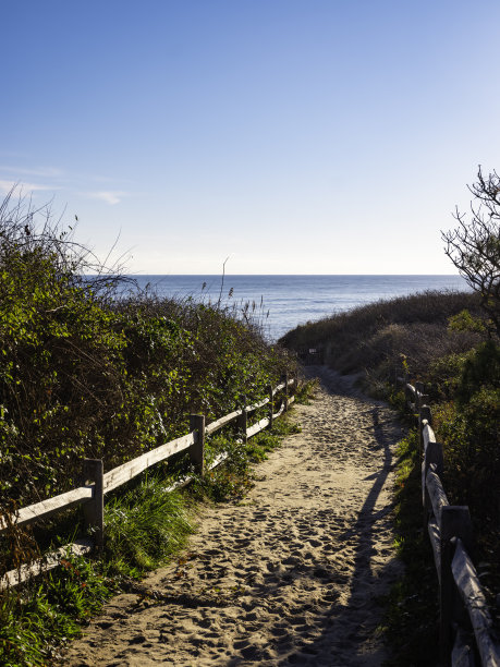 科德角海岸线上木制栏杆的海滩入口图片下载