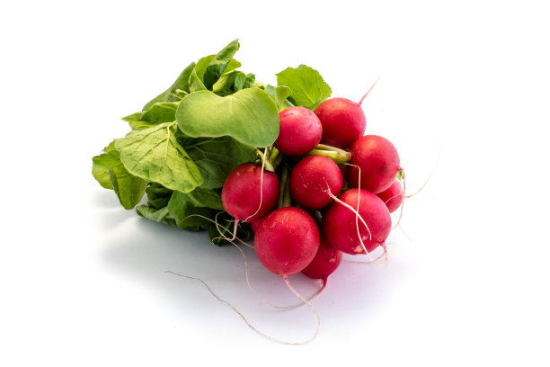 孤立在白色背景上的萝卜图片下载
