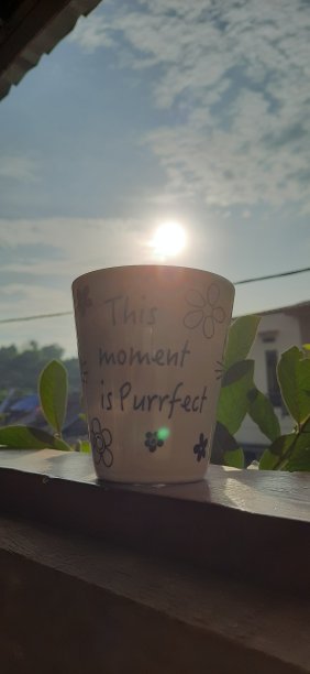 一杯茶图片下载