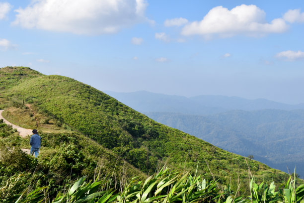 绿色的山与草美丽的景观与蓝天图片下载