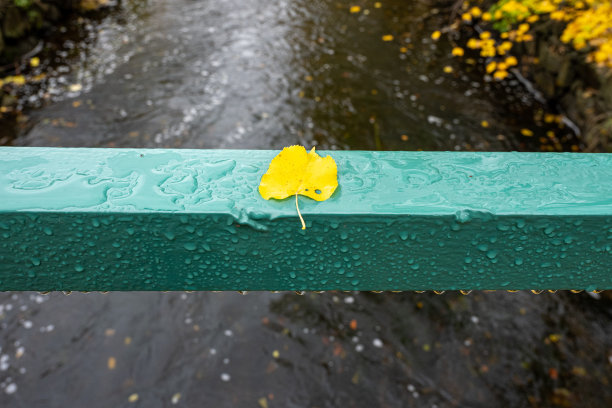 绿桥栏杆上一片黄叶。图片来自瑞典斯卡尼亚县图片下载