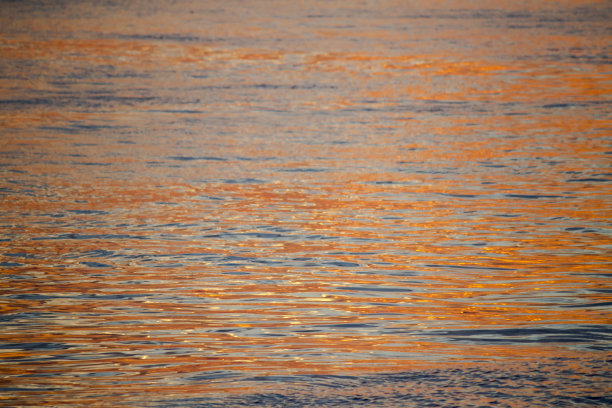 海面的背景材料的近景照片，在夕阳的光线下闪耀着橙色图片下载