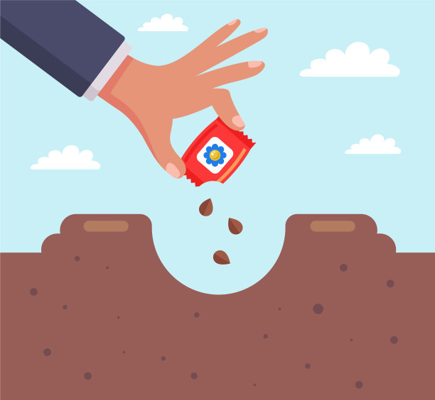 在他乡下房子的洞里种一朵花图片下载