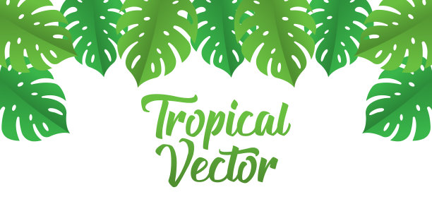 热带背景设计热带叶平图片下载