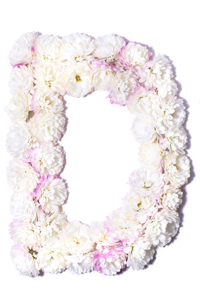 由花组成的英文字母图片下载