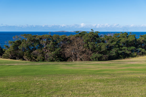 有海景的高尔夫球图片下载