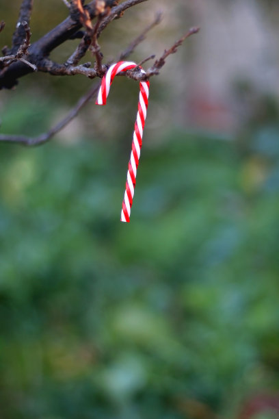 柺杖糖图片下载