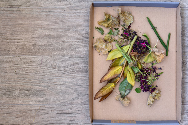 花盆花的堆肥——堆在纸板箱边的干叶子和花图片下载