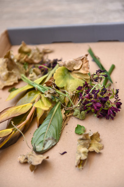 花盆花的堆肥——堆在纸板上的干叶子和花图片下载