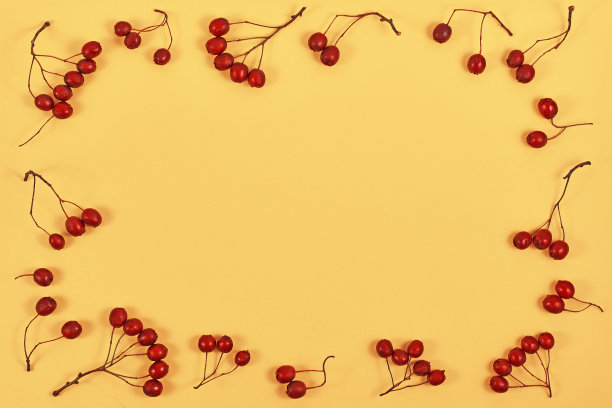 季节性的红色冬季浆果形成边界周围的黄色背景图片下载
