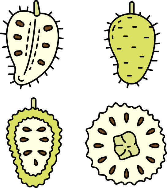 Soursop图标设置平坦图片下载