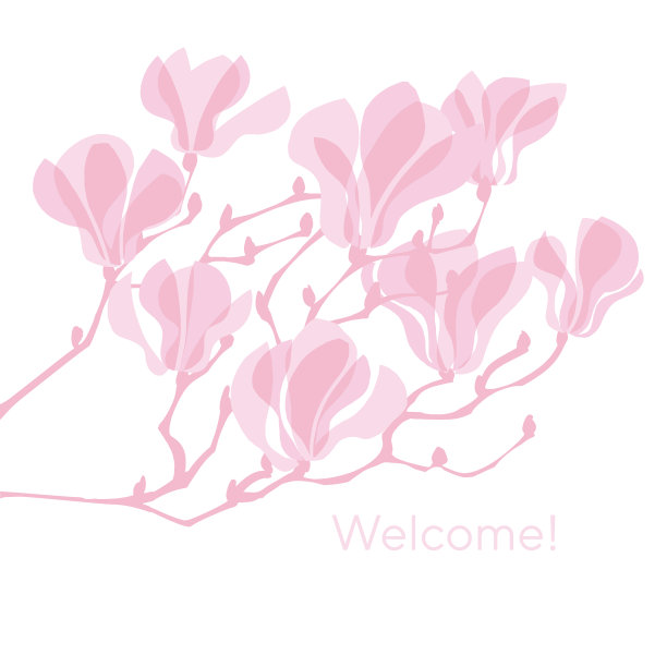 粉红色的剪影木兰开花了图片下载