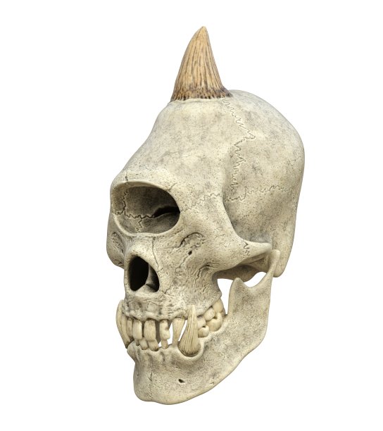 怪物头骨孤立在白色背景的3d插图图片下载