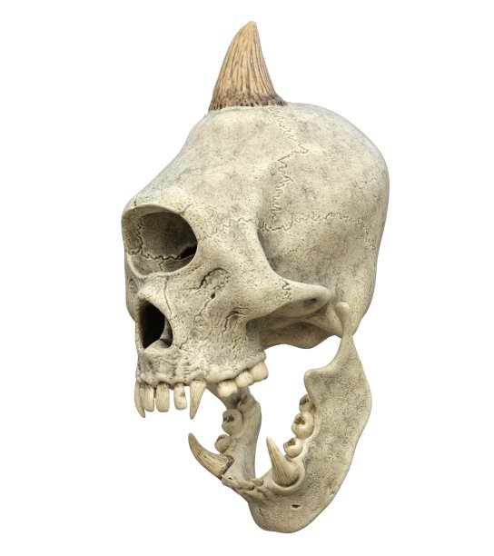 怪物头骨孤立在白色背景的3d插图图片下载