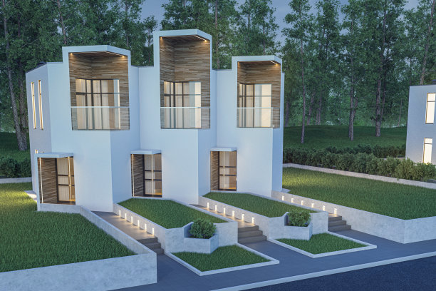 3d渲染的现代光联排舒适的小房子出售或出租与草坪上的许多草。晚上，天空是深蓝色的。角度看街景图片下载