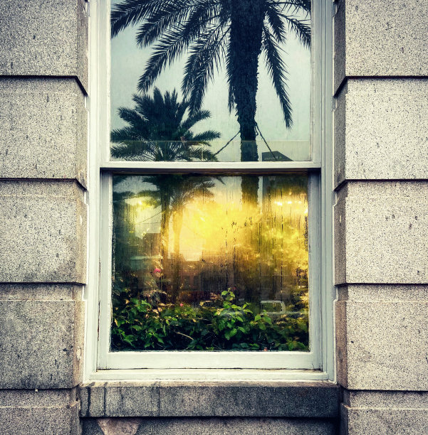 印多尔植物图片下载