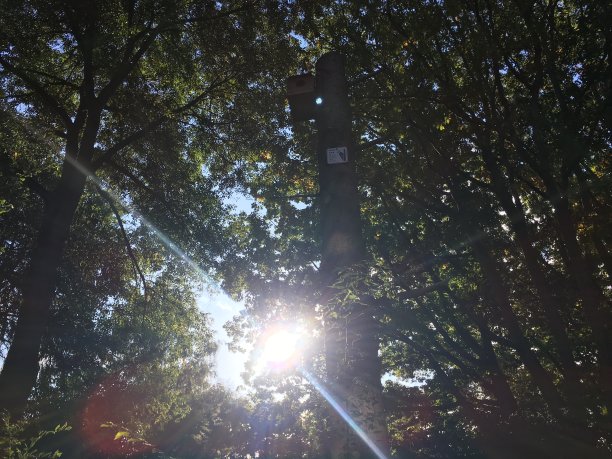 地球上的自然日图片下载