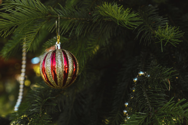 挂在树枝上的圣诞球。图片下载