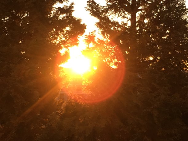 地球上的自然日图片下载