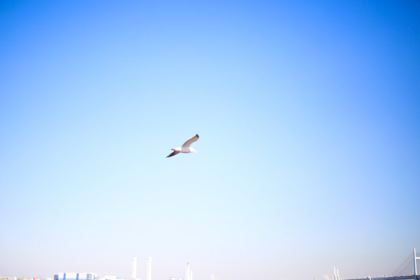 城市景观与员工图片下载