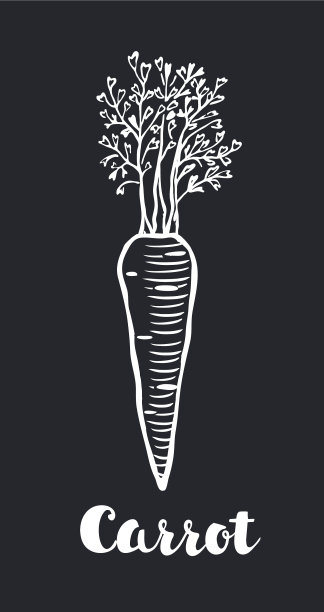 胡萝卜固体代表蔬菜和饮食图片下载