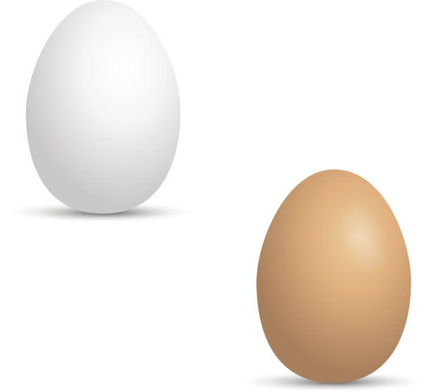 现实的白色和棕色鸡蛋上的白色图片下载