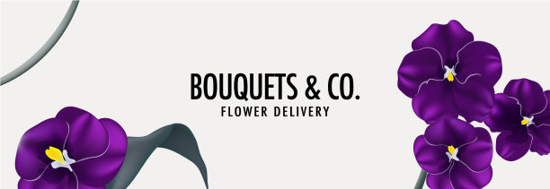 三色堇花紫罗兰框网站横幅模板图片下载