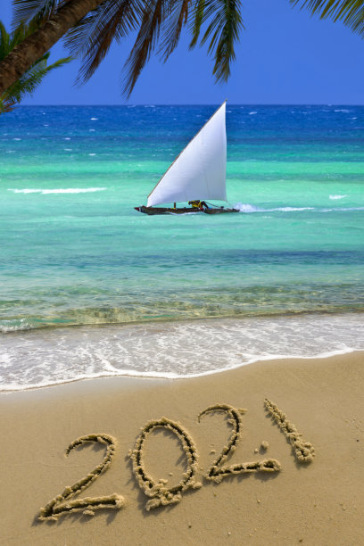 海滩边的海星图片下载