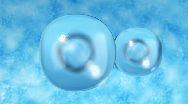 人类干细胞图片下载