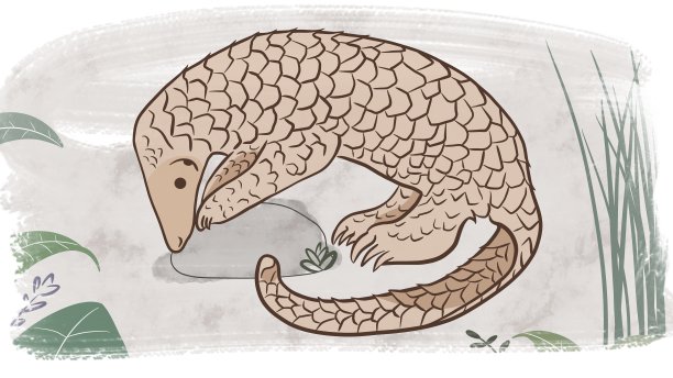 穿山甲或有鳞食蚁兽，一种来自热带地区如非洲和亚洲的覆盖鳞片的哺乳动物。图片下载