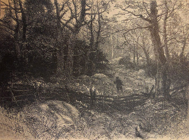 古色古香的插画-在树林里散步的人图片下载