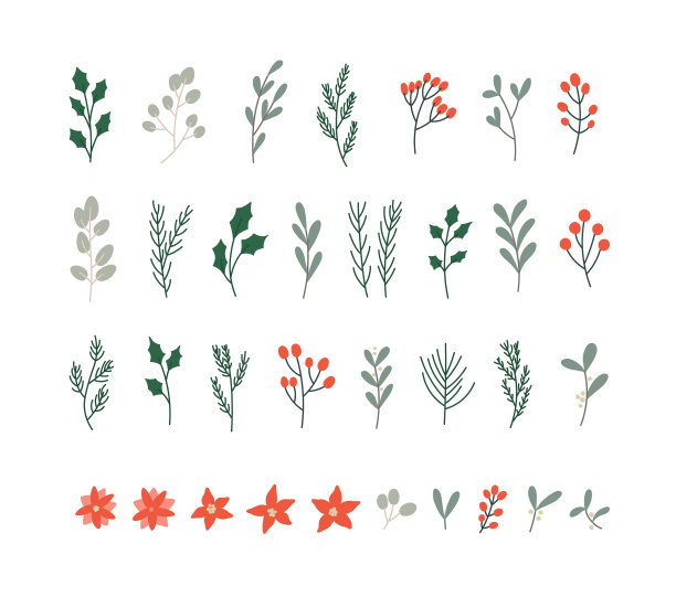 冬季植物矢量插图:冬青浆果，槲寄生，一品红，松树，雪松，蓝色云杉。图片下载