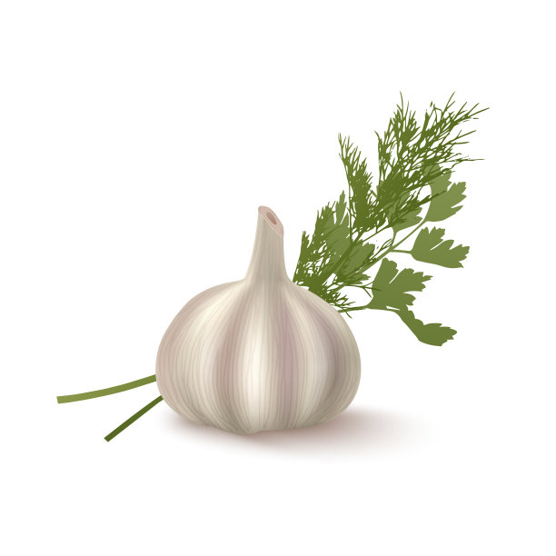 逼真的大蒜孤立在白色背景3d图片下载