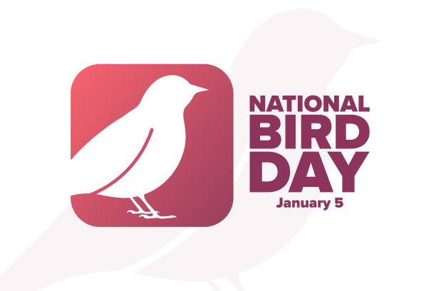 国鸟。1月5日。节日的概念。模板的背景，旗帜，卡片，海报与文字题词。向量EPS10插图。图片下载