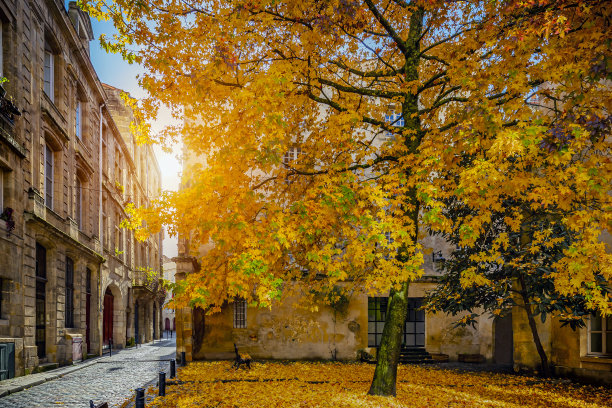 法国秋季的波尔多城市图片下载
