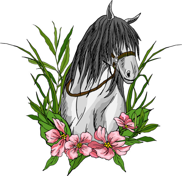 马在花和草图片下载