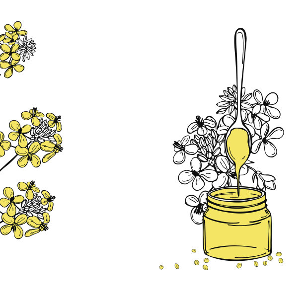 手绘芥末背景素描图片下载