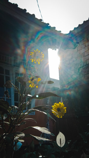 今天早上图片下载