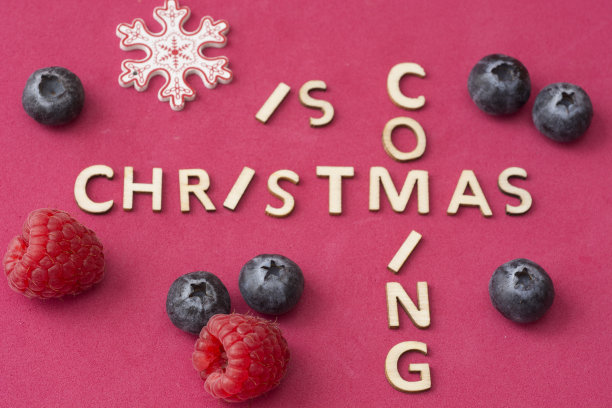 浆果和圣诞祝词图片下载