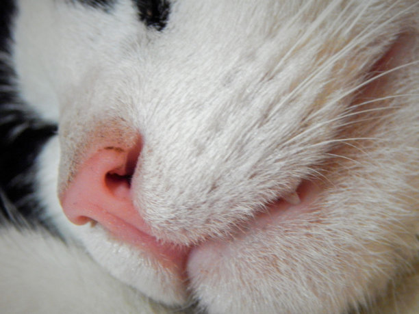 特写镜头图片下载