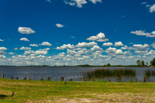 在一个温暖的春天的早晨，Lobos湖的景观图片下载