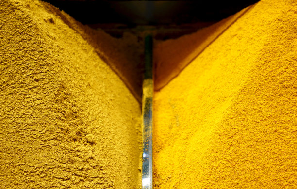 托盘里有一堆姜黄图片下载