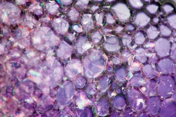 洗发水的泡沫。杂志的纹理和背景。从上往下看图片下载