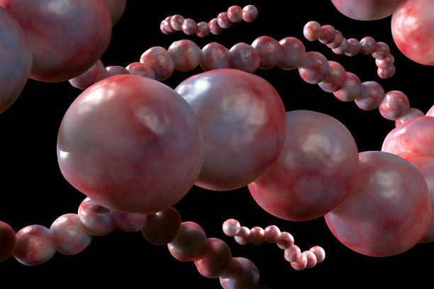 链球菌，咽喉链球菌肺炎图片下载