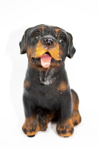 罗威纳犬小饰品，袜子图片图片下载