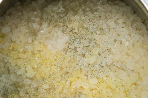 大米与真菌的特写照片图片下载